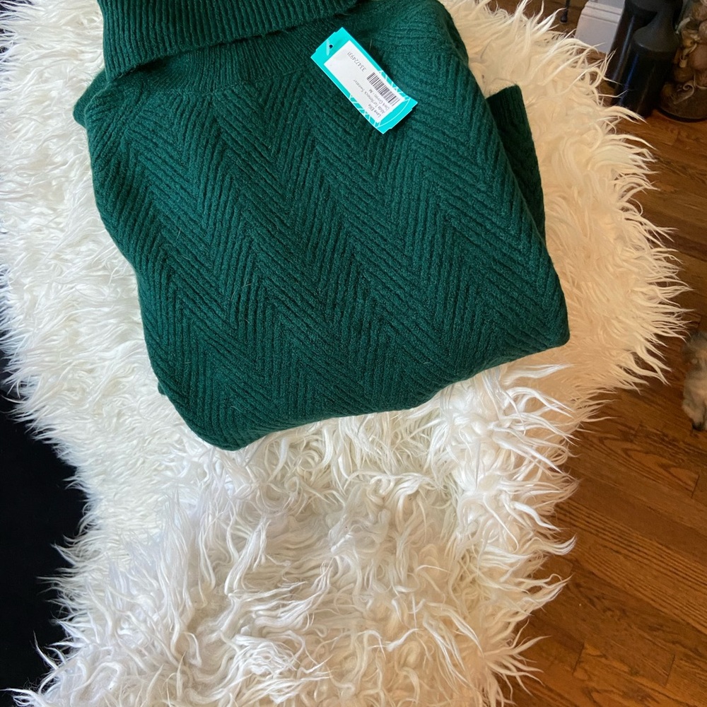 Love Ellie Alida women’s Green Crew Neck Sweater